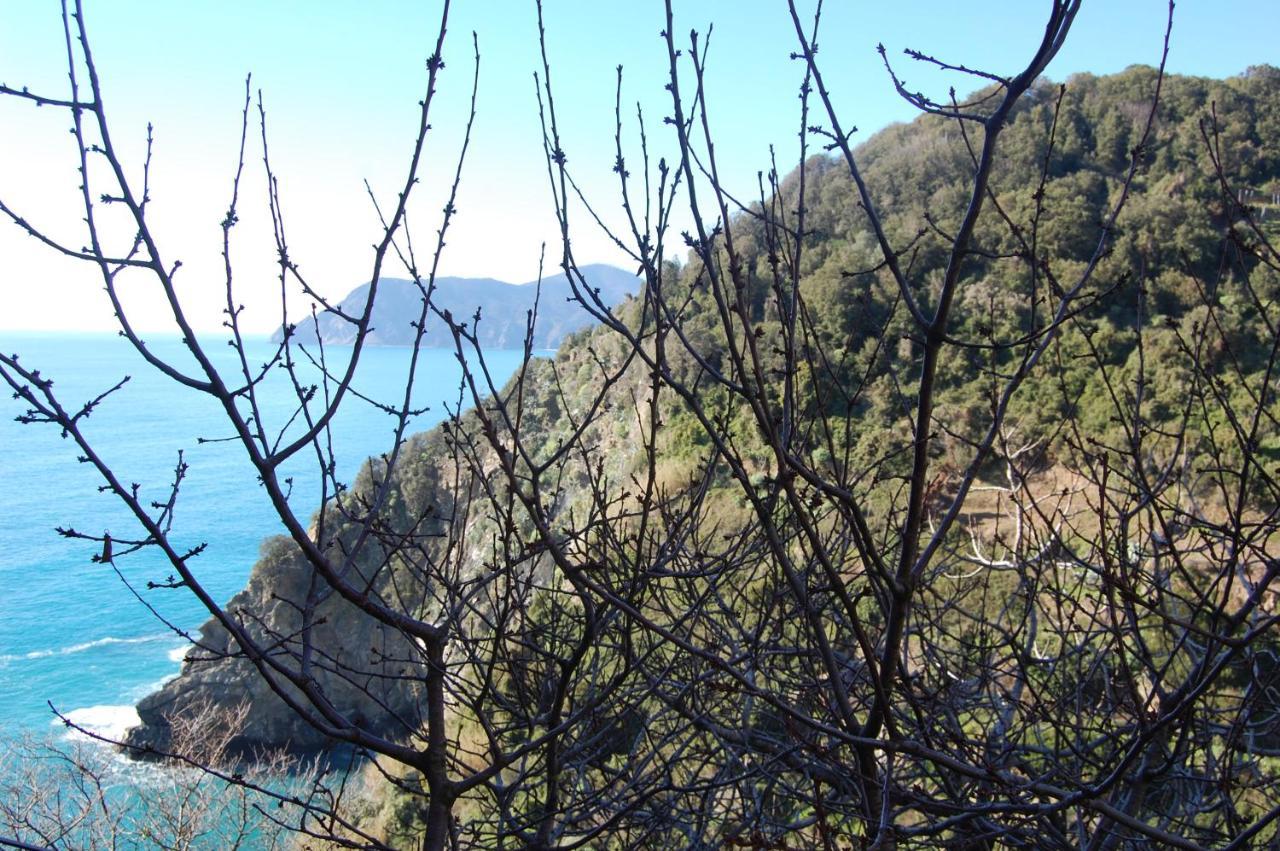 Casa Duke Villa Corniglia Exterior foto